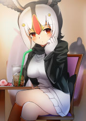 Rule 34 | 1girl, atlantic puffin (kemono friends), august vaella, bird girl, bird tail, bird wings, blush, chair, crossed legs, drink, feet out of frame, food, frilled skirt, frills, gloves, hands on own face, head wings, highres, ice, jacket, japari bun, kemono friends, kneehighs, long sleeves, looking at viewer, multicolored hair, red eyes, red hair, red socks, shirt, short hair, sitting, skirt, socks, table, tail, white gloves, white hair, white shirt, white skirt, wings