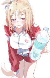 Rule 34 | 1girl, :d, absurdres, animal ears, blonde hair, bottle, breasts, gym shorts, ha (hura76752775), hair between eyes, highres, holding, holding bottle, horse ears, horse girl, horse tail, jacket, leaning forward, long sleeves, medium breasts, multicolored hair, narita top road (umamusume), open mouth, puffy long sleeves, puffy sleeves, red eyes, red jacket, red shorts, shorts, simple background, sketch, smile, solo, streaked hair, tail, track jacket, umamusume, water bottle, white background, white hair