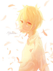Rule 34 | 10s, 1boy, blonde hair, character name, highres, looking at viewer, male focus, marionette (chocological), noragami, petals, shirt, solo, upper body, white background, white shirt, yellow eyes, yukine (noragami)