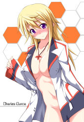Rule 34 | 10s, 1girl, blonde hair, blush, bottomless, breasts, charlotte dunois, infinite stratos, jewelry, large breasts, mikagami sou, navel, necklace, no bra, no panties, purple eyes, sleeves past wrists, smile, solo