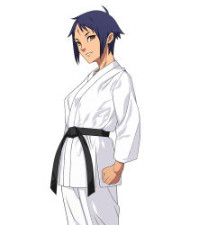Rule 34 | 1girl, 555carpaccio, ahoge, belt, black belt, blue hair, brown eyes, clenched hand, dougi, karate, karate gi, looking at viewer, martial arts belt, original, parted lips, scar, scar on face, scar on forehead, short hair, simple background, smile, solo, standing, white background