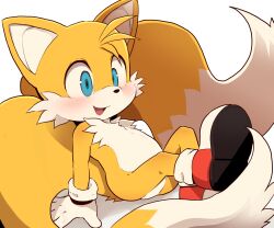 Rule 34 | 1boy, animal ears, animal nose, blue eyes, blush, commentary request, dagashi (daga2626), fox boy, fox ears, fox tail, furry, furry male, gloves, looking to the side, male focus, multiple tails, open mouth, red footwear, shoes, simple background, sitting, smile, sneakers, socks, solo, sonic (series), tail, tails (sonic), tongue, two-tone fur, two tails, white background, white fur, white gloves, white socks, yellow fur