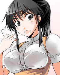 Rule 34 | 00s, 1girl, anna miller, black eyes, black hair, breasts, cosaten, large breasts, ponytail, school rumble, short hair, solo, suou mikoto (school rumble), waitress