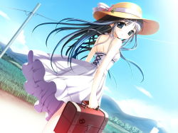 Rule 34 | 00s, 1girl, aqua eyes, bag, black hair, bus stop, contrail, day, dress, dutch angle, game cg, grass, hat, hiide, long hair, looking at viewer, looking back, power lines, scenery, sundress, utility pole, wind, yotsunoha