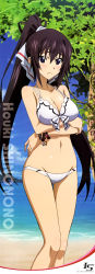 Rule 34 | 10s, 1girl, absurdres, beach, bikini, black eyes, black hair, bracelet, breast hold, breasts, character name, cleavage, collarbone, copyright name, crossed arms, day, embarrassed, groin, hair ribbon, hashimoto takayoshi, high ponytail, highres, infinite stratos, jewelry, long hair, long image, medium breasts, navel, ocean, outdoors, ribbon, shinonono houki, shiny skin, solo, standing, stomach, swimsuit, tall image, tree, very long hair, white bikini, white ribbon