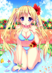 Rule 34 | 1girl, ahoge, bikini, bikini in mouth, blonde hair, blue bikini, blue eyes, blush, breasts, clothes in mouth, day, drink, flower, garden, hair flower, hair ornament, hibiscus, kneeling, large breasts, long hair, looking at viewer, mouth hold, original, shell, sky, smile, solo, suzukawa yui, swimsuit, twintails, wrist cuffs