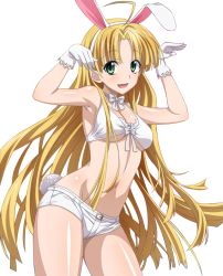 Rule 34 | 10s, 1girl, ahoge, animal ears, asia argento, blonde hair, bra, breasts, rabbit ears, rabbit tail, front-tie top, gloves, green eyes, groin, high school dxd, long hair, navel, short shorts, shorts, solo, tail, transparent background, underboob, underwear, very long hair, white bra, white gloves, white shorts