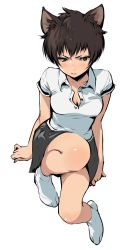 Rule 34 | 1girl, absurdres, animal ears, black hair, black skirt, breasts, cleavage, collared shirt, enami katsumi, frown, highres, shirt, short hair, short sleeves, simple background, sitting, skirt, solo, white background, white shirt, yellow eyes