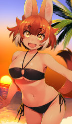 Rule 34 | 1girl, :d, animal ear fluff, animal ears, bare shoulders, beach, bikini, black bikini, breasts, brown hair, cloud, collarbone, commentary, dated, day, dhole (kemono friends), dog ears, dutch angle, extra ears, fang, happa (cloverppd), highres, kemono friends, large breasts, looking at viewer, multicolored hair, navel, ocean, open mouth, outdoors, palm tree, short hair, side-tie bikini bottom, signature, smile, solo, sun, sunset, swimsuit, tail, thigh gap, tree, two-tone hair, white hair, yellow eyes
