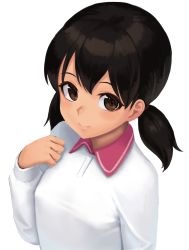 Rule 34 | 1girl, black hair, blush, breasts, brown eyes, closed mouth, collared shirt, commentary request, doraemon, from above, hair tie, hand on own chest, highres, long hair, long sleeves, looking at viewer, looking up, low twintails, minamoto shizuka, ranma (kamenrideroz), shirt, simple background, small breasts, smile, solo, twintails, upper body, white background, white shirt