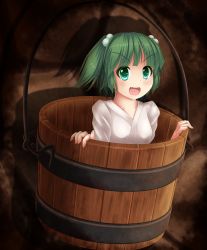 Rule 34 | 1girl, :d, brick wall, bucket, fang, green eyes, green hair, hair bobbles, hair ornament, highres, in bucket, in container, japanese clothes, kimono, kisume, looking at viewer, nicoemon2, open mouth, shadow, short hair, smile, solo, touhou, twintails, v-shaped eyebrows, white kimono
