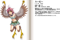Rule 34 | 1girl, antenna hair, armpits, arms up, bandeau, bare shoulders, belt, blush, body blush, body fur, breasts, character profile, choker, claws, collar, denim, denim shorts, digitigrade, feathered wings, feathers, flat chest, harpy, harpy (monster girl encyclopedia), kenkou cross, light smile, looking at viewer, midriff, monster girl, monster girl encyclopedia, navel, official art, open fly, orange eyes, petite, pink hair, pointy ears, short hair, shorts, simple background, small breasts, smile, solo, tail, unzipped, white background, winged arms, wings, yellow eyes