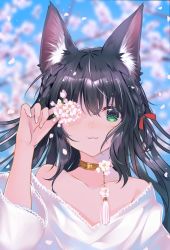 Rule 34 | 1girl, :3, animal ear fluff, animal ears, bare shoulders, black hair, bow, braid, cat ears, cat girl, cherry blossoms, choker, closed mouth, collarbone, duji amo, flat chest, flower, green eyes, hair bow, highres, holding, holding flower, long hair, long sleeves, looking at viewer, off-shoulder shirt, off shoulder, one eye covered, original, petals, red bow, shirt, side braids, smile, solo, tassel, upper body, usagihime, white shirt