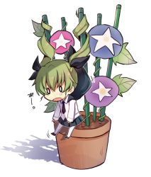 Rule 34 | 10s, 1girl, anchovy (girls und panzer), bad id, bad pixiv id, cape, chibi, flower, flower pot, girls und panzer, green hair, hair ribbon, long hair, mini person, minigirl, morning glory, necktie, o o, open mouth, pantyhose, plant, pleated skirt, ribbon, shirt, skirt, solo, star (symbol), twintails, white background, white pantyhose, yuukome (tekunon)