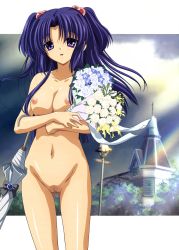 Rule 34 | 00s, 1girl, absurdres, bouquet, breasts, clannad, cleft of venus, flower, hair bobbles, hair ornament, highres, ichinose kotomi, medium breasts, navel, nipples, nude, nude filter, purple eyes, purple hair, pussy, solo, third-party edit, umbrella, uncensored, zenra
