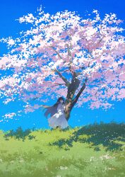 Rule 34 | 1girl, absurdres, arms behind back, black hair, blue eyes, blue sky, cherry blossoms, commentary request, dress, falling petals, grass, highres, long hair, original, petals, potg (piotegu), sky, solo, standing, tree, white dress