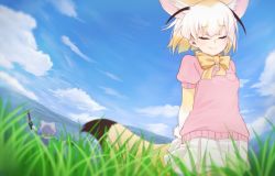 Rule 34 | 2girls, animal ears, blonde hair, blue sky, blush, bow, closed mouth, common raccoon (kemono friends), day, closed eyes, facing viewer, fennec (kemono friends), grass, kemono friends, multicolored hair, multiple girls, nyifu, outdoors, short hair, skirt, sky, smile, tail, two-tone hair, white hair, white skirt, yellow bow