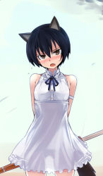 Rule 34 | 1girl, :o, animal ears, arms behind back, bare shoulders, black hair, blush, cat ears, cat tail, dress, fang, head tilt, lowleg, lowleg panties, null (nyanpyoun), panties, see-through, short hair, skirt, solo, strike witches, strike witches zero, sundress, tail, underwear, wakamoto tetsuko, world witches series, yellow eyes