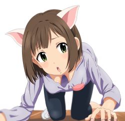 Rule 34 | 1girl, all fours, animal ears, blush, breasts, brown hair, downblouse, female focus, green eyes, hanging breasts, idolmaster, idolmaster cinderella girls, long sleeves, looking at viewer, maekawa miku, medium breasts, open mouth, shiny skin, shoes, short hair, simple background, sincos, solo, white background