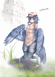 Rule 34 | 1girl, animal ears, bird ears, bird legs, bird tail, bird wings, black leggings, blue feathers, blue hair, blue wings, building, clothes writing, feathered wings, feathers, flat cap, grass, grey eyes, hair between eyes, harpy, hat, leggings, leggings under shorts, long hair, miura (rnd.jpg), monster girl, original, outdoors, pantyhose, rnd.jpg (artist), shorts, solo, tail, talons, twitter username, winged arms, wings