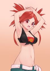 Rule 34 | &gt;:o, 1girl, :o, armpits, arms up, blush, breasts, cleavage, creatures (company), crop top, female focus, flannery (pokemon), game freak, groin, gym leader, highres, long hair, looking at viewer, medium breasts, midriff, navel, nintendo, open mouth, pants, pokemon, pokemon oras, ponytail, red hair, shirt, solo, sweat, tied shirt, v-shaped eyebrows, yoi naosuke