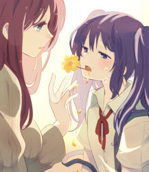 Rule 34 | 2girls, backlighting, blue eyes, brown sweater, collared shirt, commentary request, crying, crying with eyes open, falling petals, flower, flower in mouth, from side, coughing flowers, long hair, long sleeves, looking at viewer, multiple girls, neck ribbon, open mouth, original, parted lips, petals, profile, purple hair, red hair, red neckwear, ribbon, shirt, short sleeves, skirt, sou (tuhut), suspender skirt, suspenders, sweater, tears, twintails, upper body, white shirt, yellow background, yellow flower, yuri