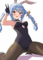 Rule 34 | 1girl, absurdres, animal ears, aoto mei, armpits, black gloves, black leotard, black pantyhose, blue hair, blush, braid, breasts, carrot hair ornament, covered navel, cutout above navel, embarrassed, food-themed hair ornament, fur-trimmed gloves, fur trim, gloves, hair between eyes, hair ornament, hand up, highres, hololive, kneeling, leotard, long hair, looking at viewer, medium breasts, multicolored hair, orange eyes, pantyhose, playboy bunny, rabbit ears, solo, spread legs, strapless, strapless leotard, sweat, thick eyebrows, twin braids, twintails, two-tone hair, usada pekora, usada pekora (1st costume), v, virtual youtuber, white hair