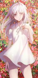 Rule 34 | 1girl, absurdres, blue eyes, closed mouth, collared dress, cowboy shot, dress, expressionless, floral background, hand up, highres, long hair, looking at viewer, original, short dress, short sleeves, signature, solo, tetta (tettaakira), white dress, white hair