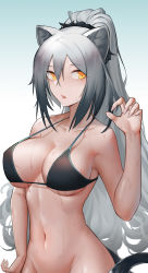 Rule 34 | 1girl, absurdres, animal ears, arknights, bare arms, bare shoulders, bikini, black bikini, blue background, breasts, cat ears, chinese commentary, collarbone, commentary request, gradient background, groin, hair between eyes, halterneck, hand up, highres, large breasts, long hair, looking at viewer, navel, out-of-frame censoring, parted lips, piao miao, schwarz (arknights), silver hair, solo, stomach, strap gap, sweat, swimsuit, upper body, very long hair, white background, yellow eyes