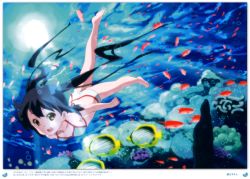 Rule 34 | 1girl, absurdres, air bubble, barefoot, bikini, black hair, breath, brown eyes, bubble, coral, damselfish, errant, feet, fish, freediving, highres, holding breath, k-on!, long hair, nakano azusa, official art, open mouth, scan, solo, swimming, swimsuit, tropical fish, twintails, underwater, water