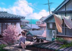 Rule 34 | 1girl, blue sky, brown hair, clothesline, cloud, curtains, day, dog, house, laundry, ocean, original, outdoors, reengirl, rooftop, scrunchie, shirt, shoes, short hair, shorts, sitting, sky, smile, sneakers, t-shirt, window