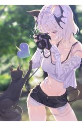 Rule 34 | 1girl, absurdres, animal ear fluff, animal ears, black cat, black shorts, blurry, blurry background, blush, breasts, camera, cat, commentary, commentary request, crop top, demon tail, english commentary, hands up, head wings, highres, holding, holding camera, huge filesize, hxxg, jacket, large breasts, letterboxed, long sleeves, midriff, mixed-language commentary, navel, open clothes, open jacket, original, purple eyes, shirt, short hair, short shorts, shorts, solo, tail, tail raised, taking picture, white hair, white jacket, white shirt, wings