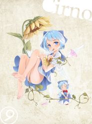 Rule 34 | 1girl, an-telin, bare legs, barefoot, blue bow, blue eyes, blue hair, bow, character name, cirno, commentary, dress, english commentary, feet, flower, hair bow, highres, legs, looking at viewer, mouth hold, no panties, short hair, sunflower, toes, touhou
