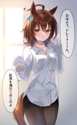 Rule 34 | 1girl, absurdres, agnes tachyon (umamusume), ahoge, animal ears, black pantyhose, blurry, blurry background, borrowed clothes, breasts, brown hair, collared shirt, commentary request, depth of field, dress shirt, etesumsom, hair between eyes, hands up, highres, horse ears, horse girl, horse tail, long sleeves, looking at viewer, medium breasts, pantyhose, parted lips, red eyes, shirt, sleeves past fingers, sleeves past wrists, smile, solo, tail, thighband pantyhose, translation request, umamusume, white shirt, window