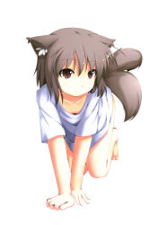 Rule 34 | 1girl, all fours, animal ears, bare legs, barefoot, brown eyes, brown hair, collarbone, dog ears, dog tail, highres, light smile, multiple tails, no pants, original, shima (sh1mamu), shirt, short hair, short sleeves, simple background, solo, tail, white shirt