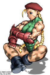 Rule 34 | 1girl, abs, absurdres, beret, blonde hair, blue eyes, boots, braid, breasts, cammy white, camouflage, capcom, collaboration, colorized, elee0228, full body, hat, highres, leotard, long hair, medium breasts, muscular, muscular female, pokkuti, profile, scar, single braid, sitting, sleeveless, solo, street fighter, twin braids