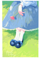 Rule 34 | 1girl, black footwear, blue bow, blue dress, border, bow, buttoned cuffs, buttons, day, dress, dyuba000, flower, footwear bow, grass, highres, holding, holding flower, lower body, nail polish, original, poppy (flower), red flower, red nails, shoes, socks, solo, white border, white sleeves, white socks, white wrist cuffs, wrist cuffs