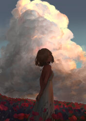 Rule 34 | 1girl, arms behind back, blue sky, breasts, closed mouth, cloud, cumulonimbus cloud, day, dress, field, flower, flower field, from side, grey hair, hair over one eye, highres, io (io oekaki), looking at viewer, medium breasts, original, outdoors, red flower, scenery, short hair, signature, sky, sleeveless, sleeveless dress, solo, standing