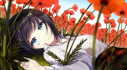 Rule 34 | 1girl, black hair, blue eyes, blue sky, collared shirt, commentary request, day, dutch angle, field, flower, flower field, grass, highres, long sleeves, looking at viewer, looking to the side, lying, md5 mismatch, on back, on grass, original, outdoors, parted lips, plaid, plaid skirt, red flower, red skirt, resolution mismatch, shirt, skirt, sky, sogawa, solo, source larger, white shirt