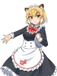 Rule 34 | 1girl, absurdres, alternate costume, animal ears, apron, black dress, blonde hair, bow, bowtie, collar, cowboy shot, dress, enmaided, extra ears, frilled apron, frilled collar, frilled cuffs, frills, high collar, highres, holding, holding tray, jaguar (kemono friends), jaguar ears, jaguar girl, japari symbol, kemono friends, kemono friends 3, long dress, long sleeves, maid, maid apron, maid headdress, multicolored hair, official alternate costume, outstretched arm, red bow, red bowtie, shiraha maru, short hair, simple background, solo, split mouth, tray, twitter username, white apron, white background, white hair, yellow eyes