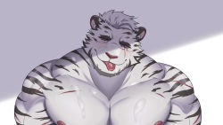 Rule 34 | 1boy, :p, absurdres, animal ears, anyisdragon, arknights, bara, blush, cum, cum in mouth, cum on body, cum on male, cum on pectorals, furry, furry male, highres, implied yaoi, large pectorals, looking at viewer, male focus, mountain (arknights), muscular, muscular male, nipples, nude, out-of-frame censoring, pectorals, scar, scar across eye, scar on chest, scar on face, short hair, solo, thick eyebrows, tiger boy, tiger ears, tongue, tongue out, torogao, upper body, white fur, white hair