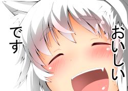 Rule 34 | 1girl, animal ears, blush, eyebrows, closed eyes, fang, hat, inubashiri momiji, open mouth, shishi juuroku, silver hair, simple background, solo, thick eyebrows, touhou, translation request, white background, wolf ears