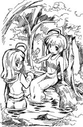 Rule 34 | 2girls, bird, forest, greyscale, kubocha, long hair, looking back, monochrome, multiple girls, nature, open mouth, pointy ears, smile