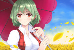 Rule 34 | 1girl, absurdres, ascot, bad id, bad pixiv id, breasts, day, covered erect nipples, flower, green hair, highres, kazami yuuka, medium breasts, petals, plaid, plaid skirt, plaid vest, red eyes, short hair, skirt, sky, smile, solo, touhou, umbrella, vest, wendell