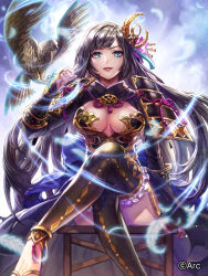 Rule 34 | 1girl, black hair, black thighhighs, blue eyes, box (hotpppink), breasts, breasts apart, character request, commentary request, crossed legs, gold, highres, lace, lace-trimmed legwear, lace trim, long hair, long sleeves, looking at viewer, medium breasts, official art, purple rope, rope, sengoku kishin valkyrie, shirt, sitting, solo, thighhighs