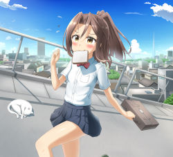 Rule 34 | 10s, 1girl, absurdres, alternate costume, animal, bag, blue sky, bread slice, breast pocket, briefcase, brown eyes, brown hair, building, cat, cloud, cloudy sky, contemporary, day, dress shirt, food, food in mouth, highres, holding, kantai collection, long hair, mouth hold, nedia (nedia region), pleated skirt, pocket, ponytail, road, running, school bag, school briefcase, school uniform, shirt, short sleeves, skirt, sky, skyscraper, sleeping, smile, toast, toast in mouth, toy block, white cat, zuihou (kancolle)