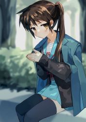 Rule 34 | 1girl, black thighhighs, blazer, blue jacket, blue sailor collar, blue skirt, blush, brown eyes, brown hair, closed mouth, commentary request, grass, highres, jacket, kita high school uniform, kyonko, long hair, long sleeves, looking at viewer, mochoeru, outdoors, own hands together, ponytail, red ribbon, ribbon, sailor collar, school uniform, serafuku, sitting, skirt, solo, suzumiya haruhi no yuuutsu, sweat, thighhighs, tree, zettai ryouiki