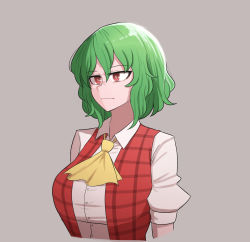 Rule 34 | 1girl, :|, ascot, breasts, bright pupils, closed mouth, collared shirt, commentary, english commentary, green hair, highres, jitome, kazami yuuka, large breasts, mata (matasoup), open clothes, open vest, plaid, plaid vest, red eyes, red vest, serious, shirt, short hair, simple background, sleeves rolled up, solo, touhou, upper body, vest, white pupils, white shirt, yellow ascot