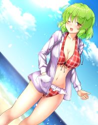 Rule 34 | 1girl, ;d, aka tawashi, beach, bikini, blue sky, blush, breasts, cleavage, cloud, collarbone, commentary request, day, drawstring, dutch angle, feet out of frame, green hair, groin, hair between eyes, hand in pocket, highres, hood, hooded jacket, jacket, kazami yuuka, large breasts, long sleeves, looking at viewer, navel, ocean, one eye closed, open clothes, open jacket, open mouth, outdoors, plaid, plaid bikini, red bikini, red eyes, short hair, sky, smile, solo, standing, stomach, swimsuit, thighs, touhou, white jacket