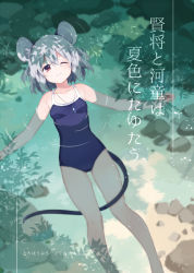 Rule 34 | 1girl, akagashi hagane, animal ears, bad id, bad pixiv id, between legs, blue one-piece swimsuit, blush, closed mouth, collarbone, competition school swimsuit, cover, cover page, day, from above, grey hair, hair between eyes, jewelry, looking at viewer, lying, mouse ears, mouse tail, nazrin, necklace, on back, one-piece swimsuit, outdoors, parted bangs, red eyes, school swimsuit, short hair, smile, solo, swimsuit, tail, tail between legs, touhou, translation request, water